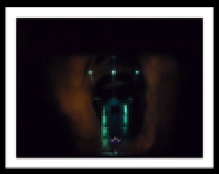 Prima Donna Prima Donna